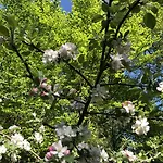 Riverside 3* Oderberg