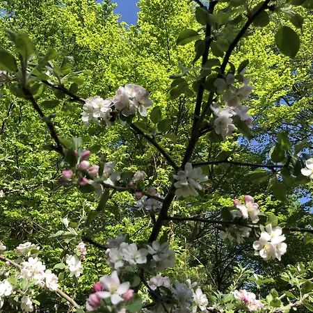 Riverside 3* Oderberg