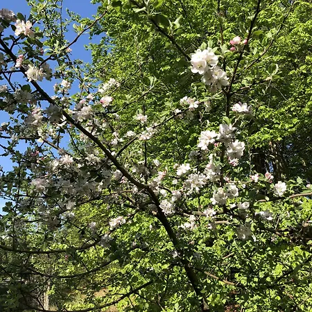 Отель Riverside 3*